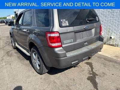 2010 Ford Escape XLT