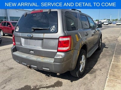 2010 Ford Escape XLT