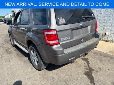2010 Ford Escape XLT