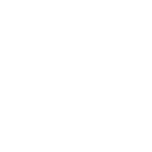 Proof of Income Icon