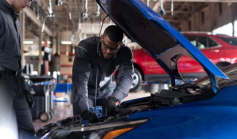 World Class Service, Parts, & Collision Center